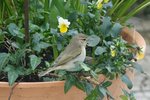 DSC00190.JPG