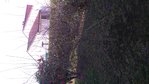 DSC_0002-ConvertImage.jpg