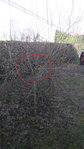 DSC_0001-ConvertImage copie_0.JPG
