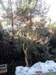 CameraZOOM-20180226101944252.jpg