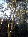 CameraZOOM-20180226102001246.jpg