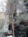 CameraZOOM-20180226102109213.jpg