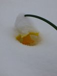 P1060499 - Copie.JPG