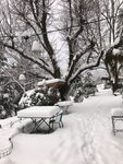 Anduze sous la neige.jpeg