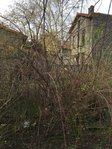 IMG_5772.jpg