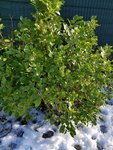 20180210_152149.jpg