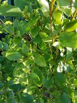 20180210_152153.jpg