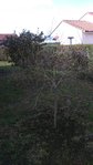 DSC_0001-ConvertImage.jpg