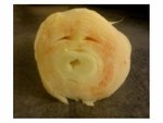 TRISTE  ENDIVE 1.jpg
