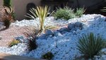 plantes.JPG