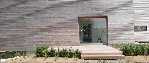 plantes -grandes herbes-.jpg