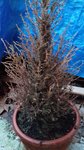 20180313_184252-min.jpg