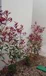 20180312_165819.jpg