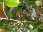 IMG_5417.JPG