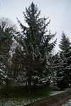 DSC00824.JPG