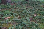 DSC00825.JPG