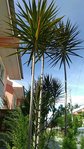 received_174466183352766.jpeg