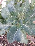 20180320_180321_R.jpg