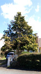 Cote-rue-OUEST.jpg