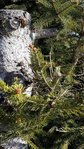20180322_082813.jpg