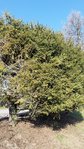 20180322_082828.jpg