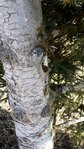 20180322_082857.jpg
