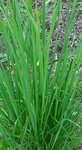 IMG_20180322_185519.JPG