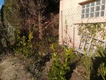IMG_20180310_165446.jpg