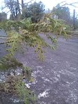 IMG_20180325_193000.jpg