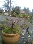 IMG_20180325_192811.jpg