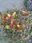 IMG_20180325_191441.jpg