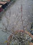 IMG_20180325_191420.jpg
