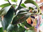 20180324_114257.jpg