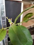 20180324_114339.jpg