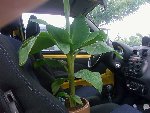 P16-08-08_18 modif.jpg