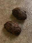 seeds.jpg