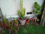 IMG_20180330_165312.gif