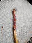 IMG20180407152258.jpg