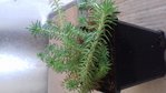 20180406_101137 (640x360) (2).jpg