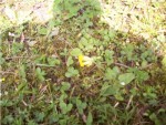 100_0801.JPG