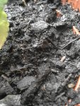 20180410_151443-min.jpg