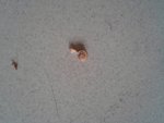 20180410_150955-min.jpg