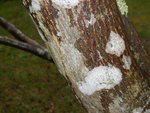DSCN1117 (2).jpg
