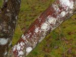 DSCN1118 (2).jpg