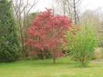 DSCN1119 (2).jpg