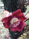 IMG-20180321-WA0004.jpg