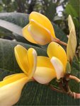 IMG-20180311-WA0006.jpg