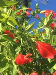 IMG-20180331-WA0002.jpg