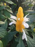 IMG-20180331-WA0000.jpg