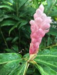 IMG-20180304-WA0020.jpg